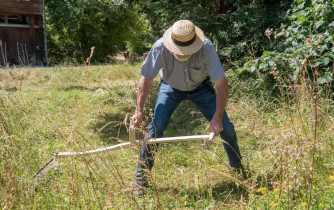 11 juillet 2026 de 09h00 à 12h00 - Parc du Doubs, Initiation de fauche à la faulx Les Enfers